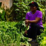 Mulheres podem ganhar até R$ 10 mil para produção agrícola