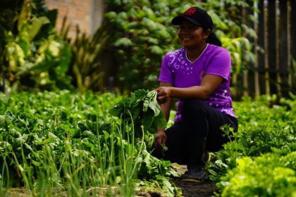 Mulheres podem ganhar até R$ 10 mil para produção agrícola