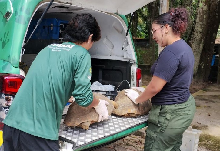 Operação contra cativeiros ilegais resgata 53 animais silvestres