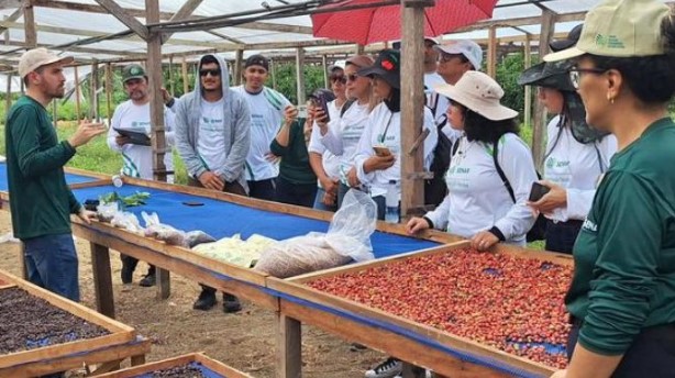 Seleção do Senar abre 85 vagas em cursos técnicos gratuitos