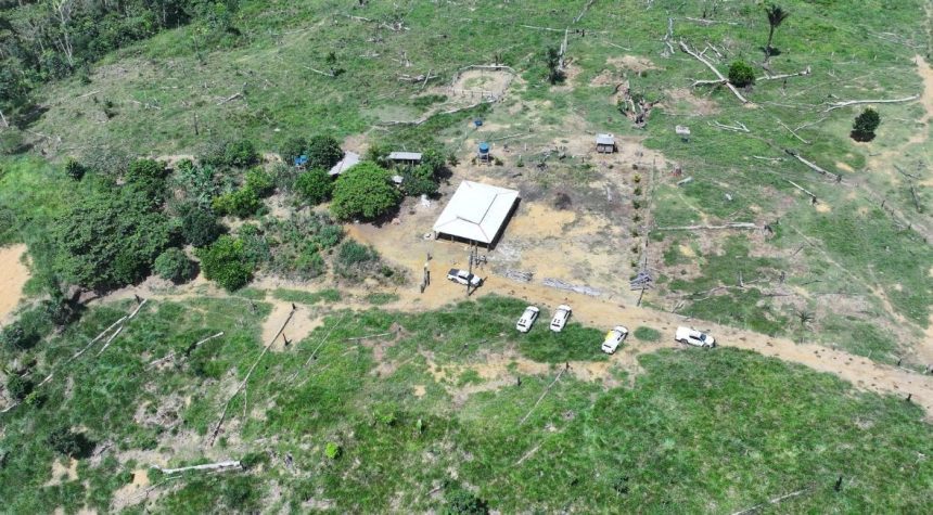 Operação Tamoiotatá 6 aplica mais de R$ 32 milhões em multas