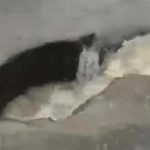 Criança cai em bueiro durante a forte chuva registrada em Manaus