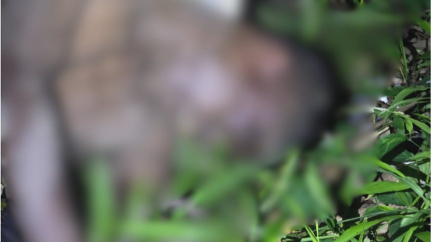 Imagem desfocada de corpo em vegetação