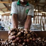 Manaus recebe imersão internacional em bioeconomia