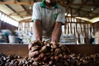 Manaus recebe imersão internacional em bioeconomia