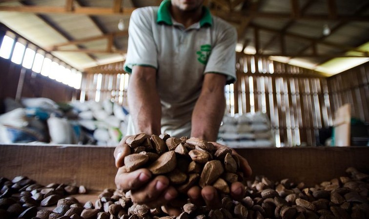 Manaus recebe imersão internacional em bioeconomia