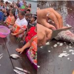 Vídeo de concurso de quem “tica” jaraqui mais rápido em Borba viraliza nas redes sociais