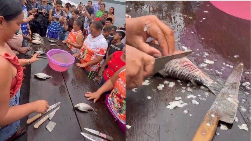 Vídeo de concurso de quem “tica” jaraqui mais rápido em Borba viraliza nas redes sociais