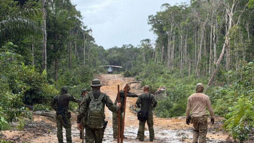 Operação no Amazonas destrói pistas clandestinas usadas para tráfico internacional