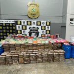 Polícia apreende 700 quilos de drogas avaliadas em R$ 12,8 milhões em operação no Amazonas