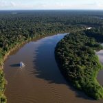 Amazonas reduz desmatamento em 14,6% em 2025, aponta relatório do MapBiomas