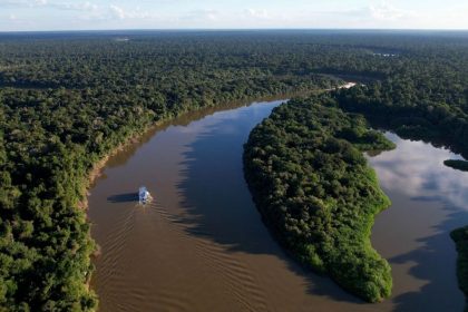 Amazonas reduz desmatamento em 14,6% em 2025, aponta relatório do MapBiomas