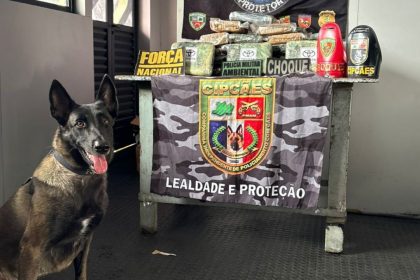 Mais de 42 kg de skunk são apreendidos em embarcação no Amazonas