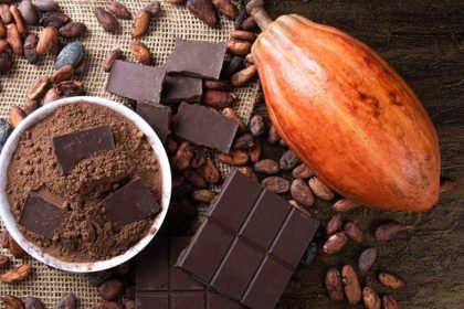 Nova legislação estabelece padrões mínimos de cacau em produtos de chocolate no Brasil
