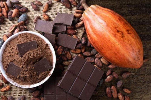 Nova legislação estabelece padrões mínimos de cacau em produtos de chocolate no Brasil