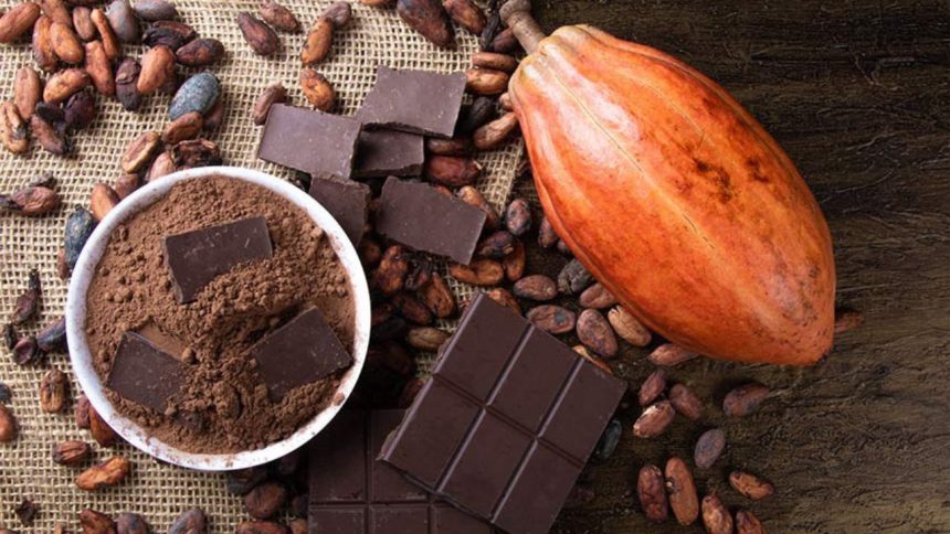 Nova legislação estabelece padrões mínimos de cacau em produtos de chocolate no Brasil