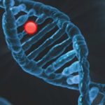 Estudo inédito aponta que 1 em cada 10 brasileiros com câncer possui mutação hereditária