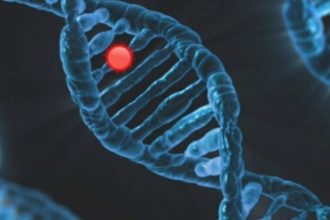 Estudo inédito aponta que 1 em cada 10 brasileiros com câncer possui mutação hereditária