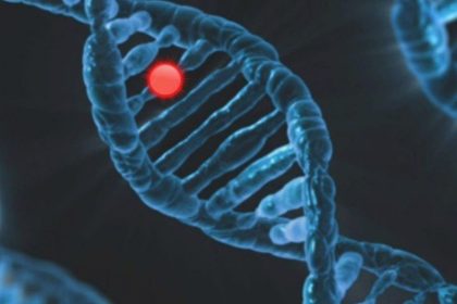 Estudo inédito aponta que 1 em cada 10 brasileiros com câncer possui mutação hereditária