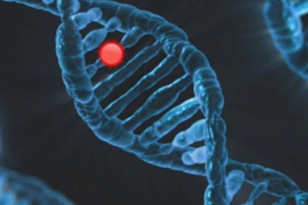 Estudo inédito aponta que 1 em cada 10 brasileiros com câncer possui mutação hereditária
