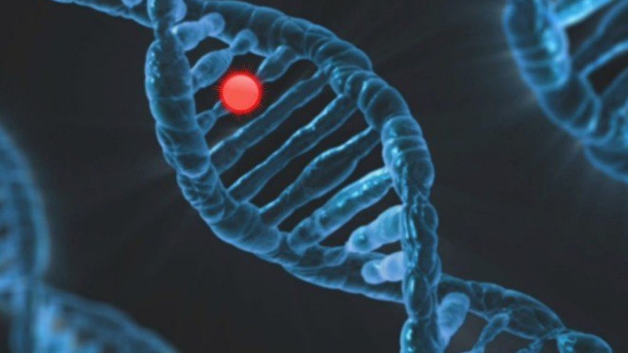 Estudo inédito aponta que 1 em cada 10 brasileiros com câncer possui mutação hereditária