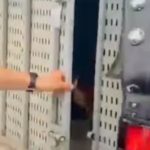 Indígena engravida filha de 12 anos e passa estuprar a própria neta em Beruri