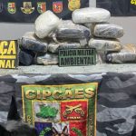 Mulher é presa com mais de 11 quilos de skunk em bagagem no Amazonas