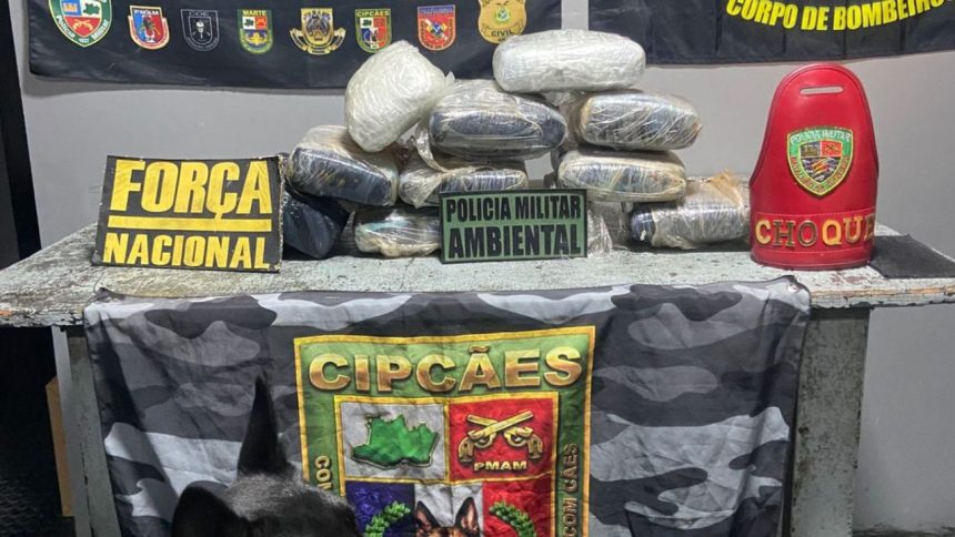Mulher é presa com mais de 11 quilos de skunk em bagagem no Amazonas