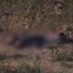 Corpo de homem é encontrado em área de mata na BR-174