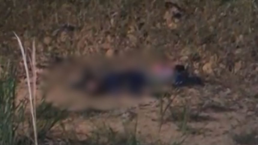Corpo de homem é encontrado em área de mata na BR-174