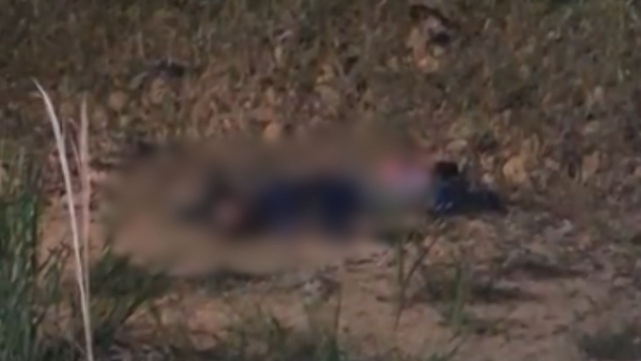 Corpo de homem é encontrado em área de mata na BR-174