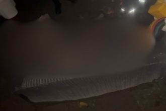 Jovem é encontrado ferido e amarrado em árvore na zona norte de Manaus