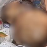 Trabalhadores encontram crânio humano em praça no Centro de Manaus