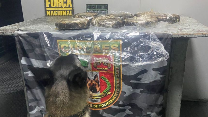 Mulher é presa com drogas escondidas em máquina de solda de embarcação no AM