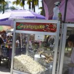 Novo programa de crédito para MEIs do turismo atenderá inscritos no CadÚnico