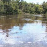 PF vai apurar possível contaminação de rios em terra indígena no Amazonas 