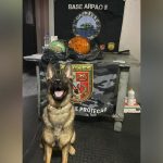 Polícia apreende mais de 23 quilos de cocaína em cilindros frigoríficos no Amazonas