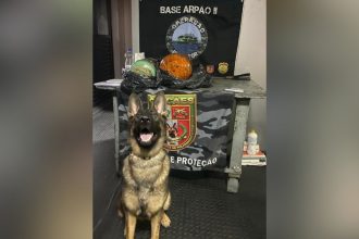 Polícia apreende mais de 23 quilos de cocaína em cilindros frigoríficos no Amazonas