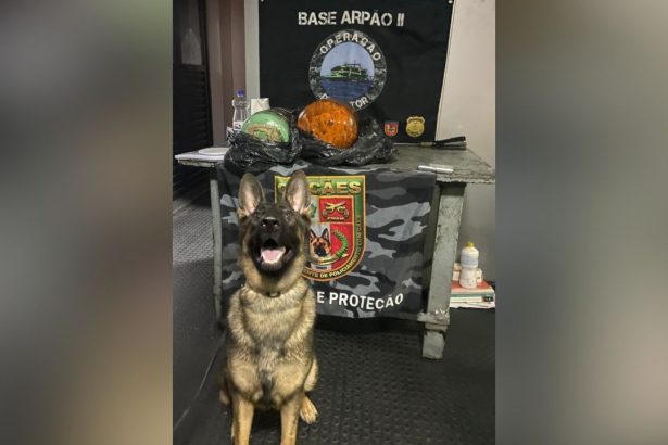 Polícia apreende mais de 23 quilos de cocaína em cilindros frigoríficos no Amazonas