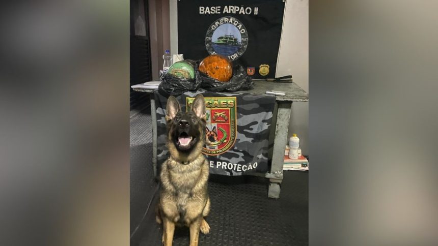 Polícia apreende mais de 23 quilos de cocaína em cilindros frigoríficos no Amazonas