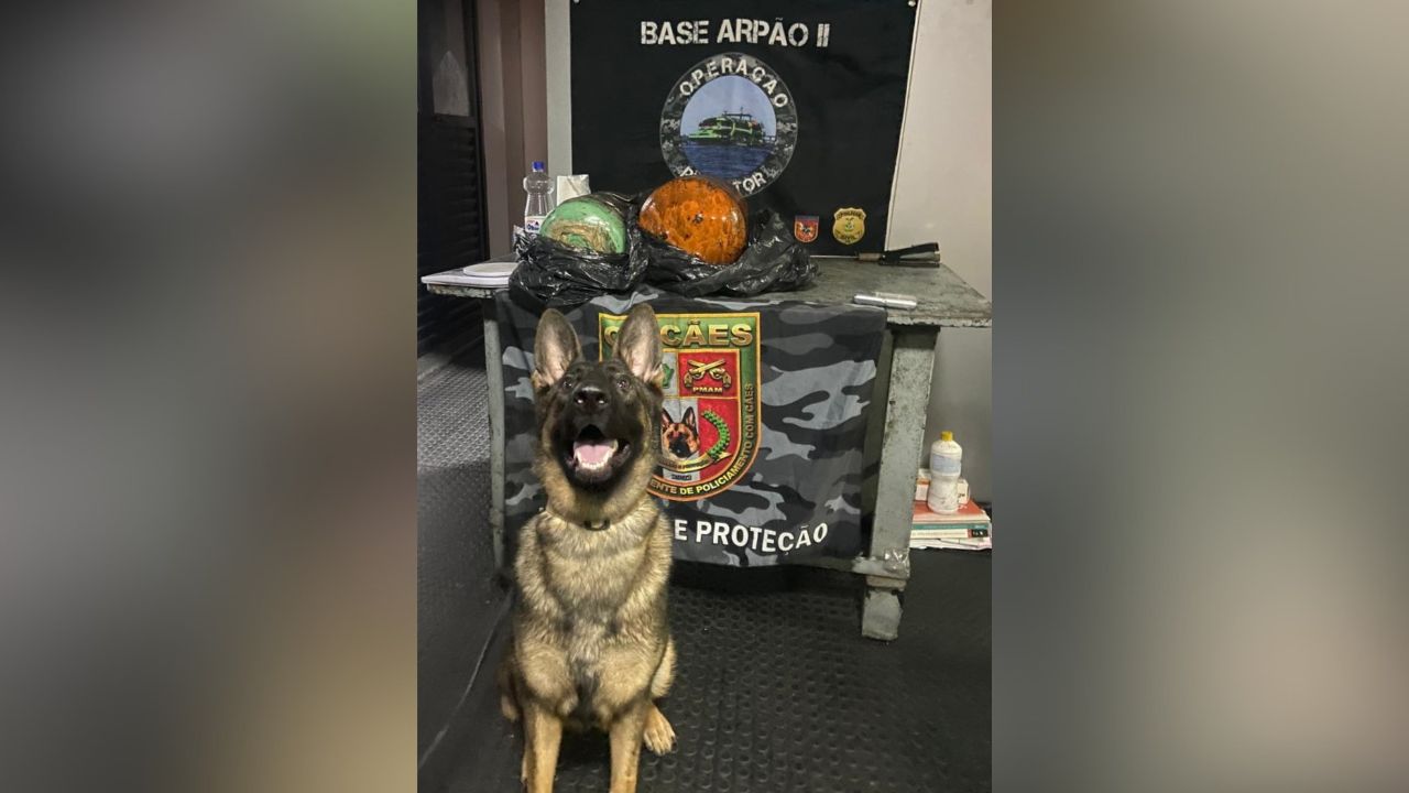 Polícia apreende mais de 23 quilos de cocaína em cilindros frigoríficos no Amazonas
