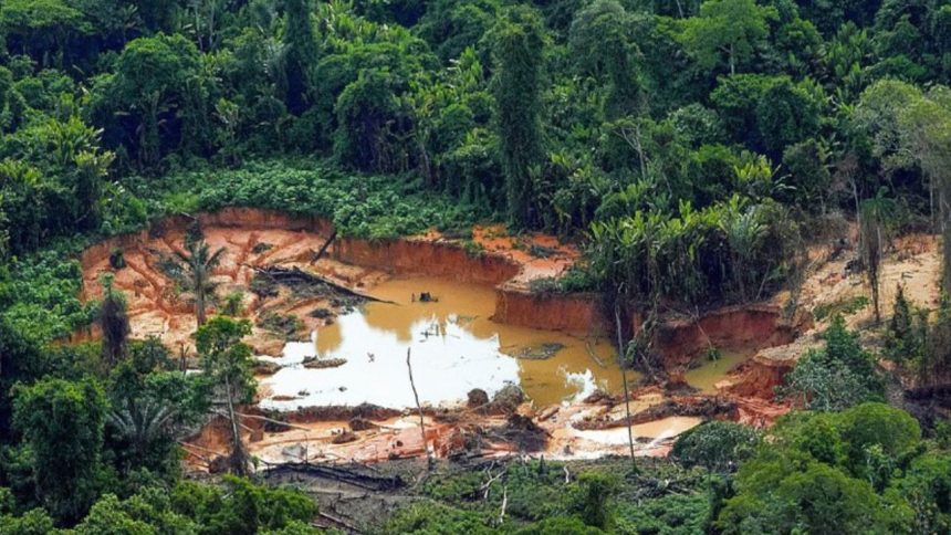 Ex-cacique e gerente de garimpo são processados pelo MPF por mineração ilegal em terra indígena no AM