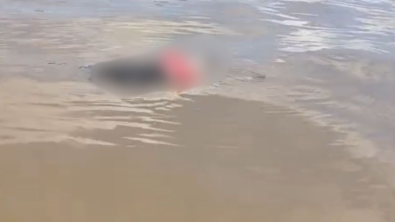Corpo de homem é encontrado boiando em área do Baixo Solimões