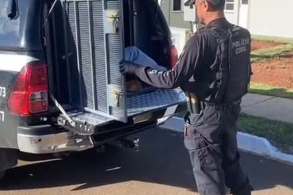 Operação registra 146 prisões em ações contra crime envolvendo crianças e adolescentes no AM