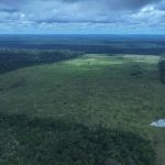 A quarta etapa da Operação Tamoiotatá 6 foi encerrada no sábado (9) com a aplicação de R$ 57,2 milhões em multas por infrações ambientais no sul do Amazonas.