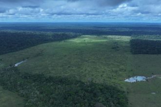 A quarta etapa da Operação Tamoiotatá 6 foi encerrada no sábado (9) com a aplicação de R$ 57,2 milhões em multas por infrações ambientais no sul do Amazonas.