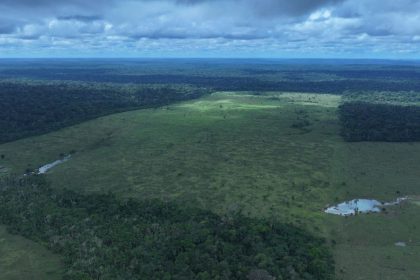 A quarta etapa da Operação Tamoiotatá 6 foi encerrada no sábado (9) com a aplicação de R$ 57,2 milhões em multas por infrações ambientais no sul do Amazonas.