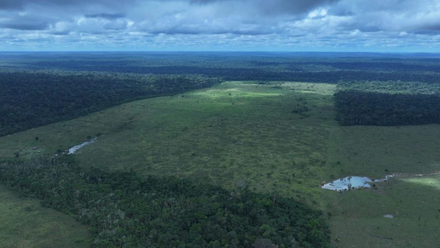 A quarta etapa da Operação Tamoiotatá 6 foi encerrada no sábado (9) com a aplicação de R$ 57,2 milhões em multas por infrações ambientais no sul do Amazonas.
