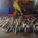 Polícia apreende 26 toneladas de pescado ilegal em embarcação em Coari