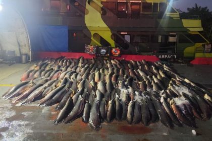 Polícia apreende 26 toneladas de pescado ilegal em embarcação em Coari